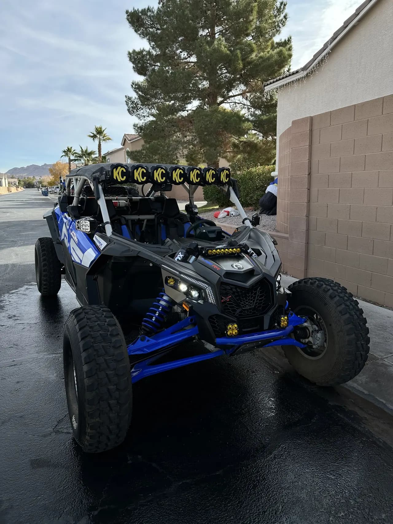 Ceramic coating on exterior trim and plastic on a car in Las Vegas by Platinum Detailing LV